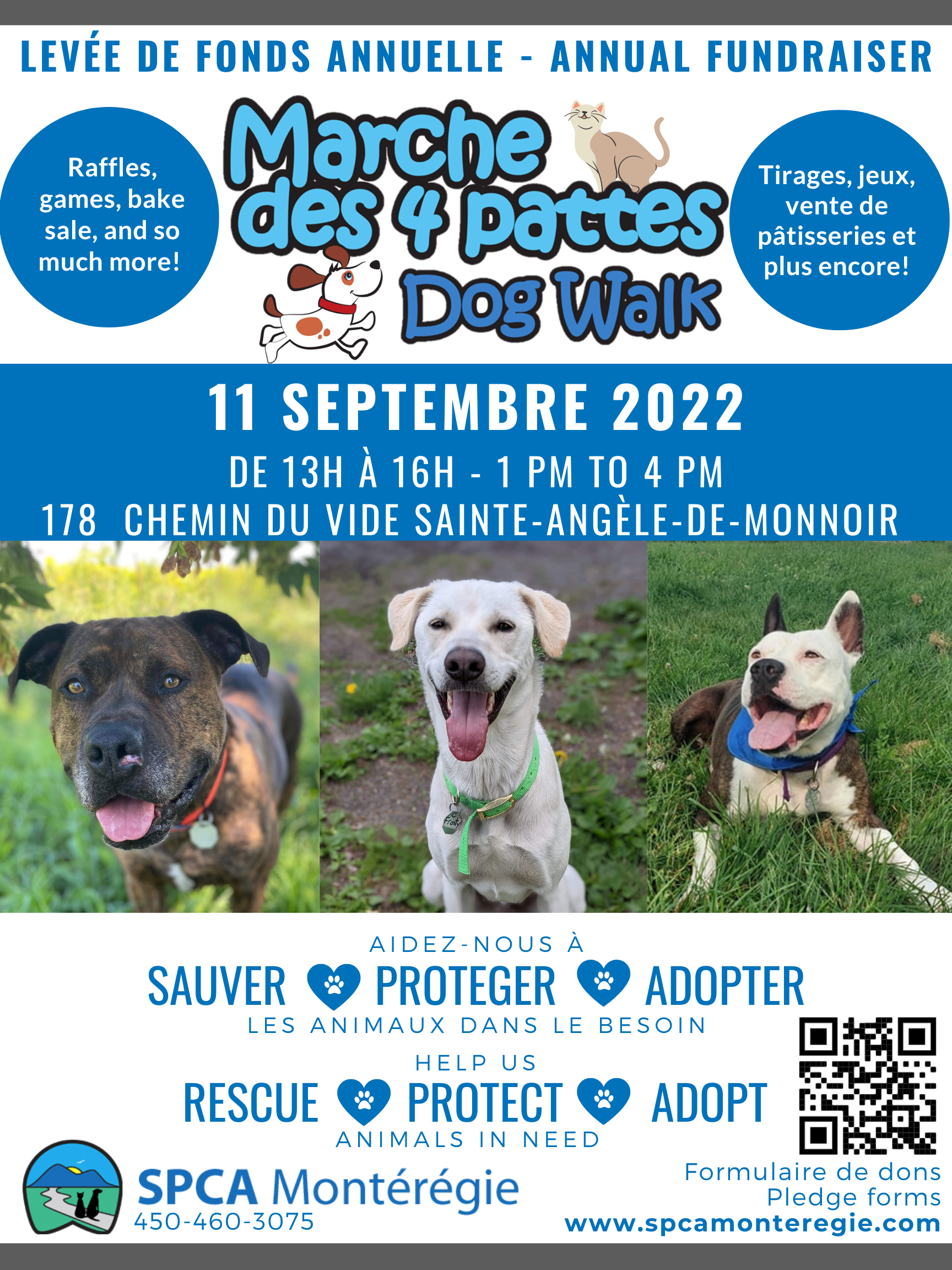 Spca monteregie sale dogs